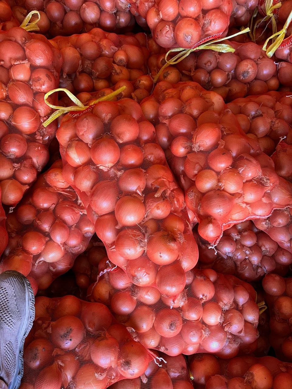 Agricultural products project