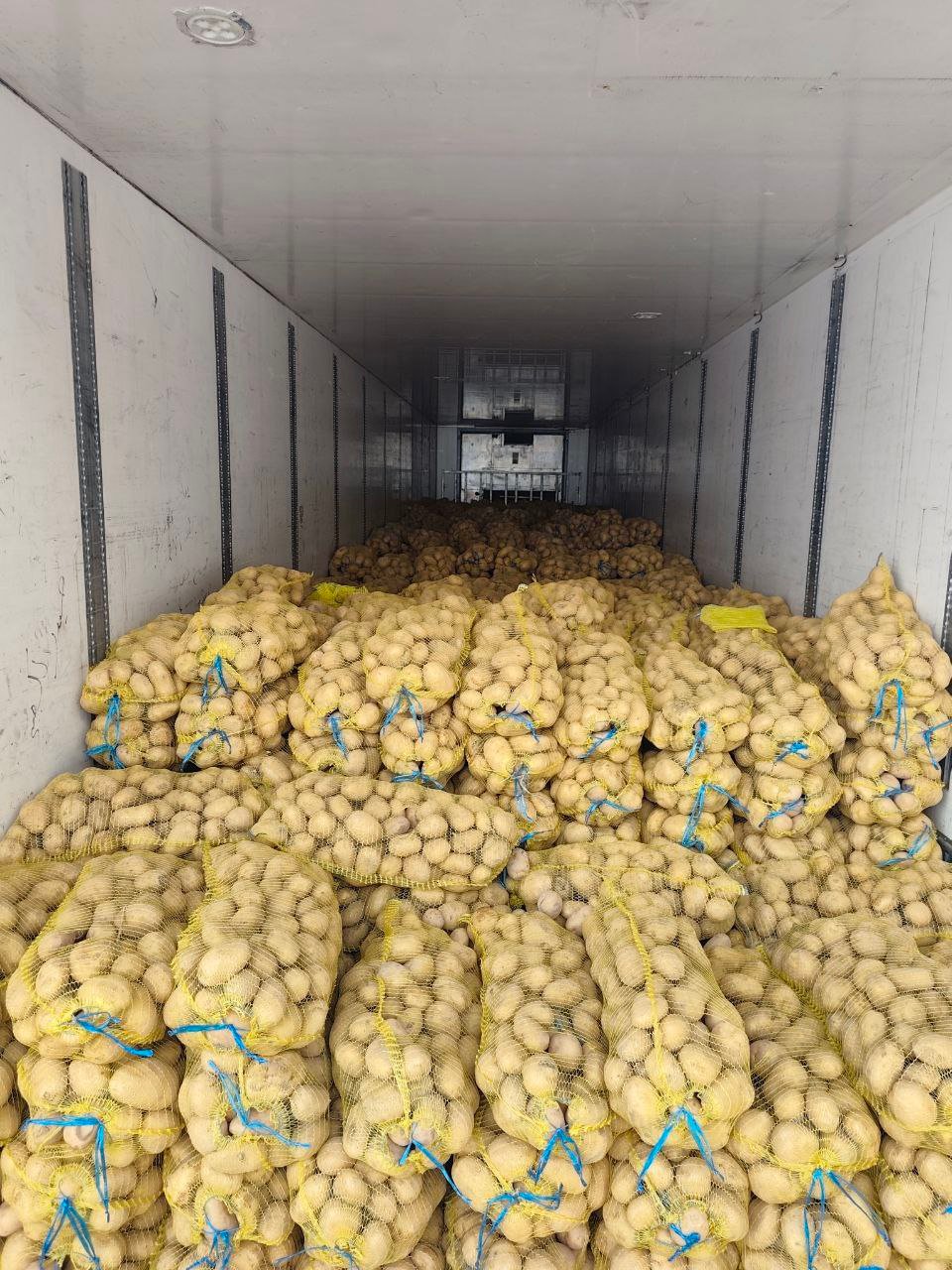 Consumer goods distribution project